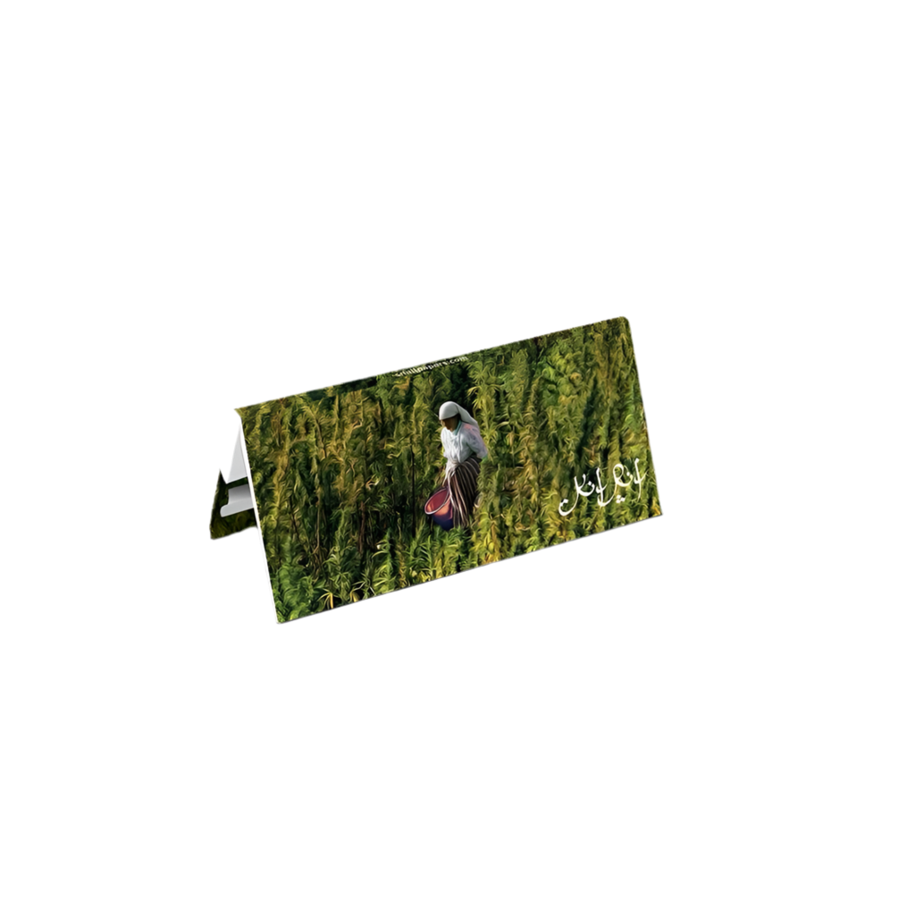 Mortalhas c/ filtro "Rif from the Kif" - Snailpapers